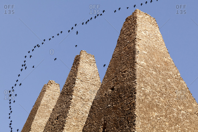 Flock of birds flying over ruins of Santa Brigida Mine ovens