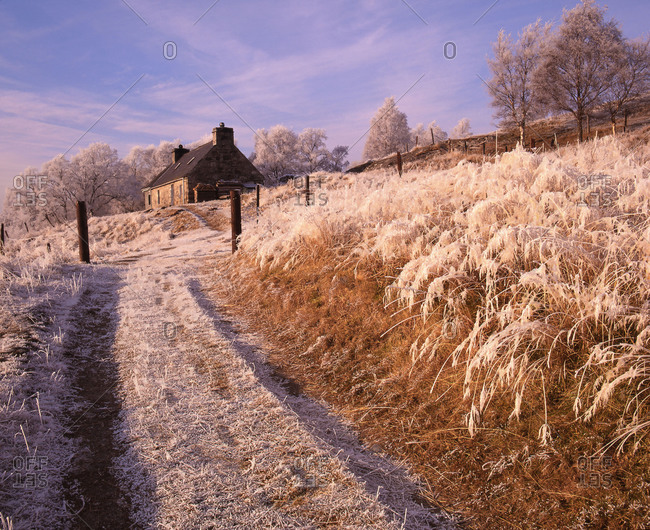 Winter landscape with a farm near Newtonmore, Scotland