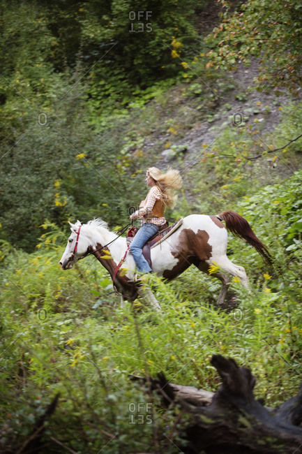 Woman trotting a horse in the forest
