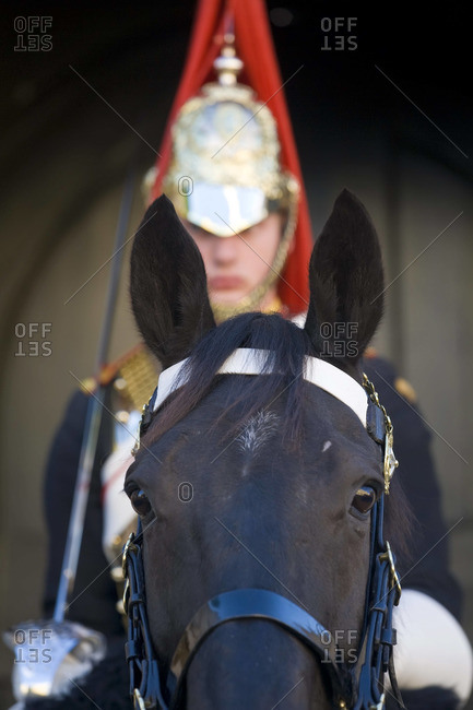 Life Guard on horse, Whitehall, London, UK