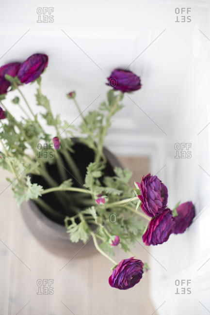 Purple flowers in vase, high angle view