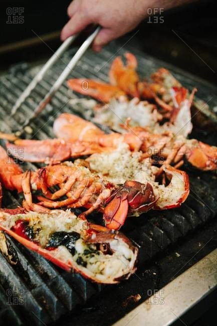 Close up of grilled lobster