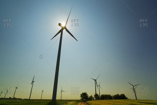 Wind farm, Altentreptow, Mecklenburg Lake District, Mecklenburg-Vorpommern, Germany