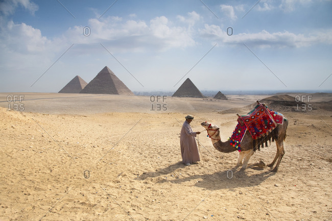 Man leading a camel near the Egyptian Pyramids