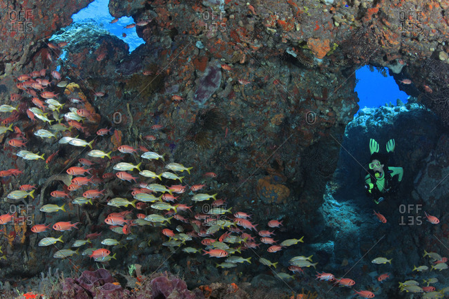 Scuba diver  enters cavern with schools of fish, specifically Smallmouth Grunts and Blackbar Soldierfish