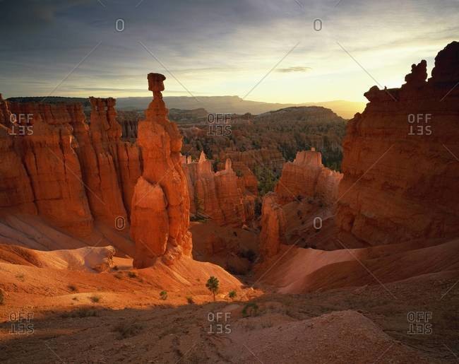 Backlit hoodoos and Thor\'s Hammer, Bryce Canyon National Park, Utah, United States of America, North America