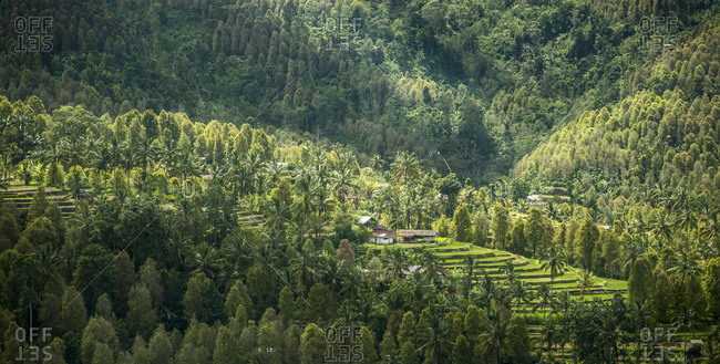A house sits in a valley among rice terraces in Munduk, Bali, Indonesia
