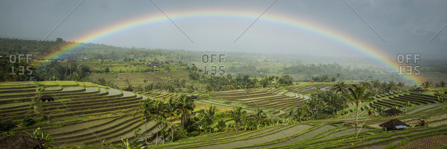A rainbow over the terraced rice fields in Jatiluwih, Bali, Indonesia