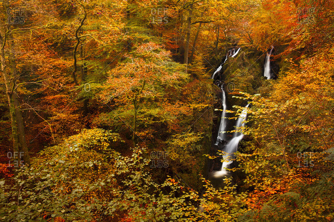 Stock Ghyll Force Waterfall in autumn, Lake District National Park, Cumbria, England, United Kingdom, Europe