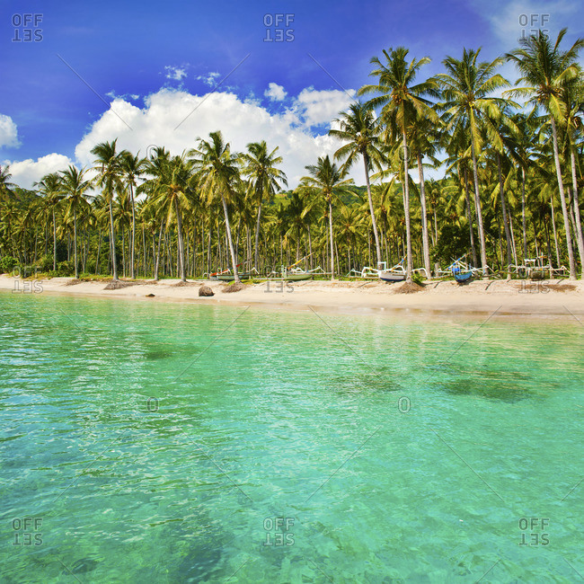 Turquoise water and palm trees lining Nippah Beach, Indonesia, Southeast Asia, Asia