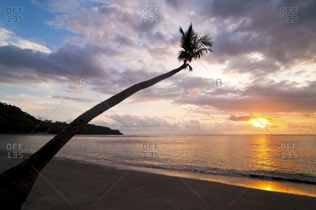 Overhanging palm tree at Nippah Beach at sunset,l Lombok Island, Indonesia, Southeast Asia, Asia