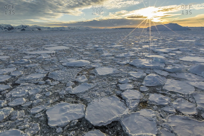 Sea ice mixed with brash ice near Pleneau Island, western side of the Antarctic Peninsula, Southern Ocean, Polar Regions