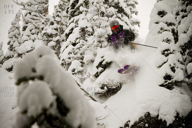 A skier punches through some powder and some trees on a cloudy day.