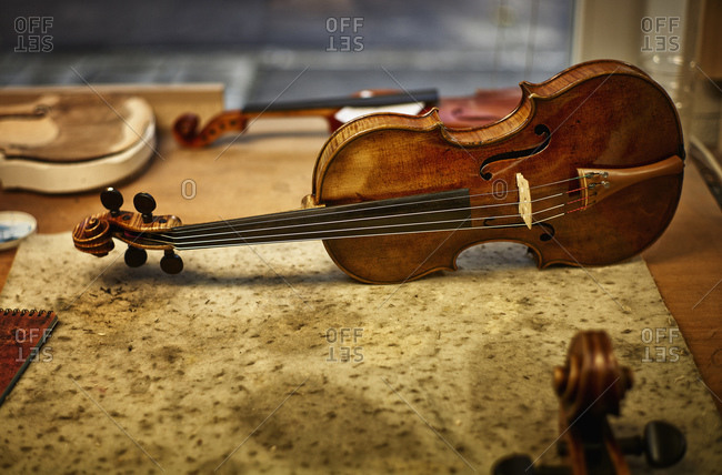 Repaired instruments in a violin maker\'s workshop