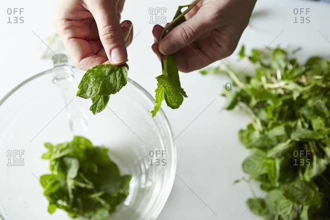 Arranging mint leaves while cooking