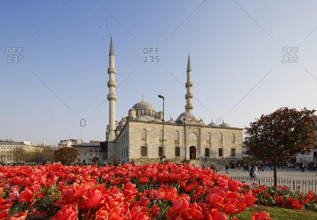 Tulip bed in front of Yeni Camii, Istanbul, Turkey