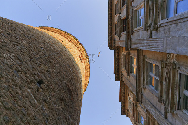 Galata, Galata Tower, house and flying bird, Istanbul, Turkey