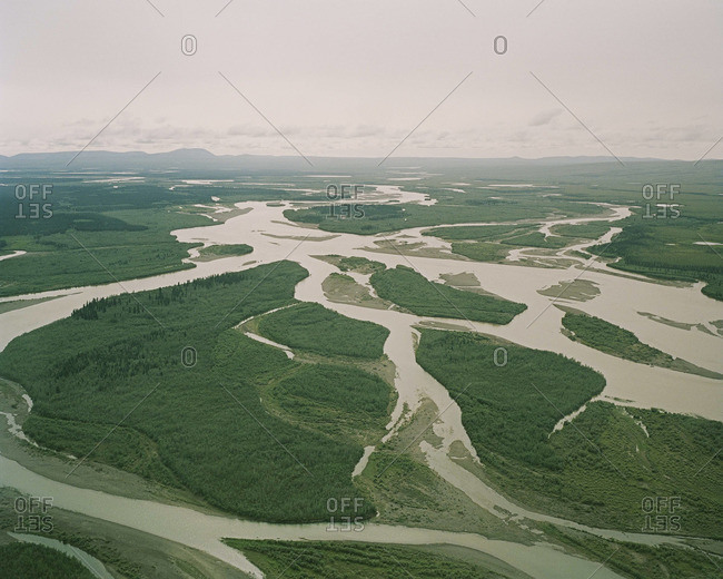 Aerial view of river branches in Alaska