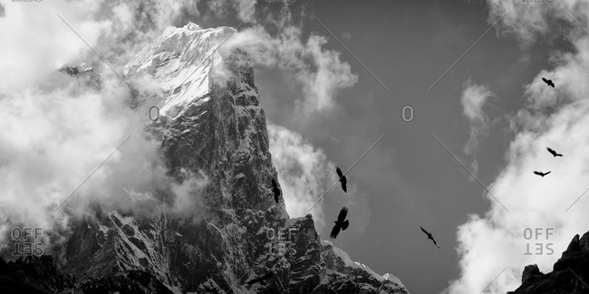 Birds flying in high winds in front of Taboche, Nepal