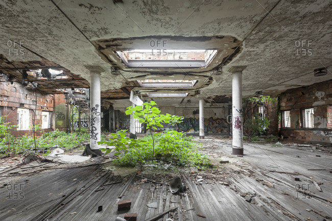 Nature retaking an auditorium of an abandoned school