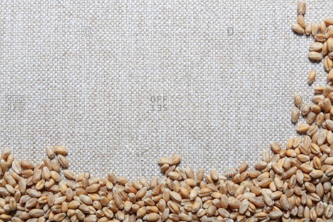 Grains of wheat against a textured background
