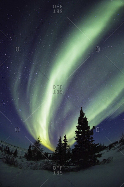 Aurora borealis in Canadian sky