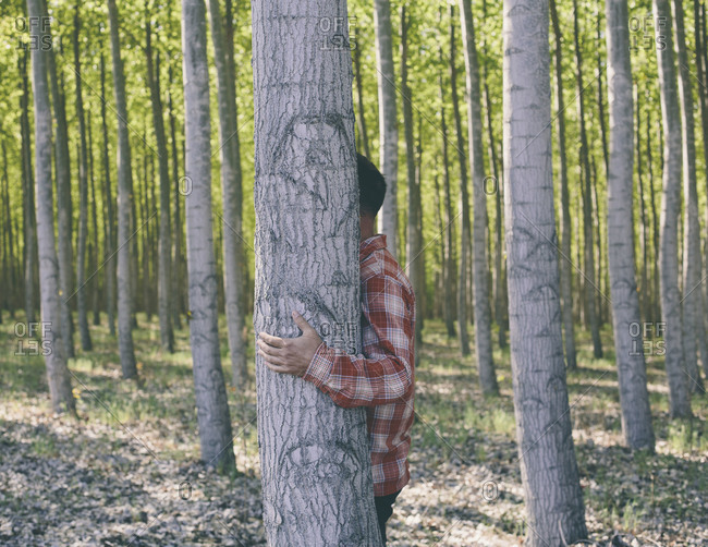 Man hiding behind a cottonwood tree