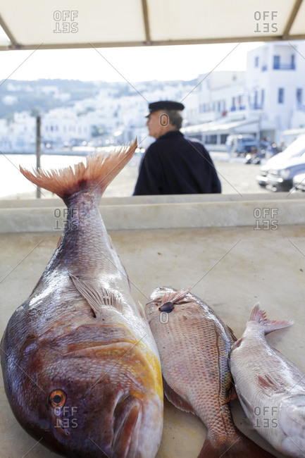 Fish market in Mykonos, Greece