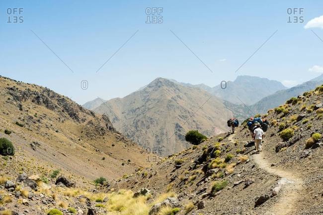 Mules carrying packs in Atlas mountains, Morocco