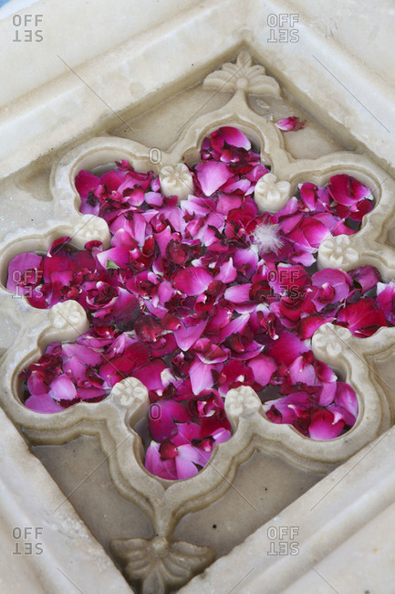 Flower petals floating in a marble form