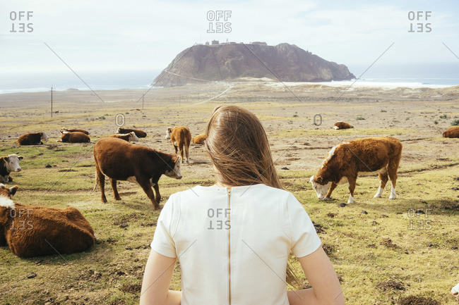 Rear view of brunette woman watching the grazing cows