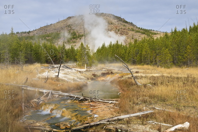 Midway Geyser Basin thermal activity from the Fairy Creek Trail