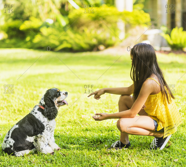 Girl teaching dog tricks