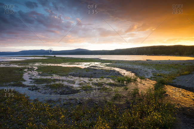 A marshy drainage flowing into Lake Tahoe, California