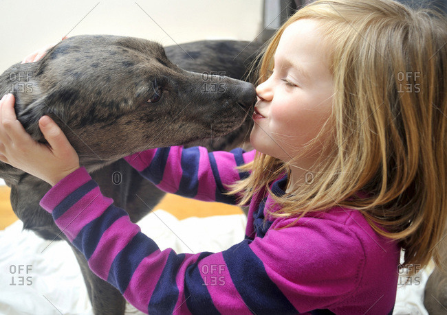 Candid portrait of a 5 year-old girl kissing her pet whippet dog indoors, Canada
