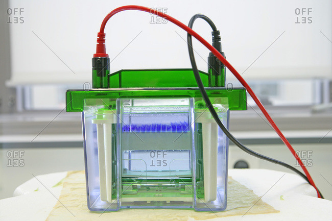 Medical laboratory gel electrophoresis apparatus