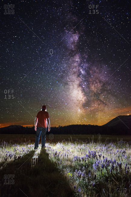 Man stands illuminated in a field of lupine wildflowers looking at the Milky Way in Hope Valley, California