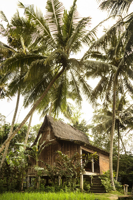 Cabin with a thatched roof in Bali, Indonesia
