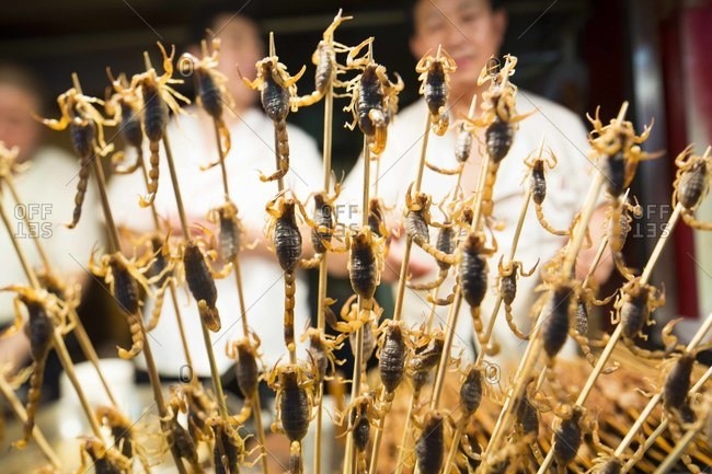 Scorpion skewers are popular street food in Beijing, China
