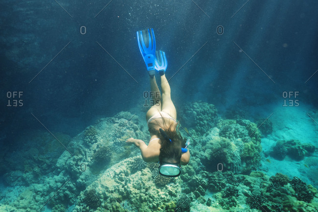 High angle view of woman snorkeling, Hawaii, USA