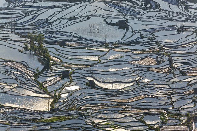 Reflections of water filled rice terraces, Yuanyang County, Honghe, Yunnan Province, China