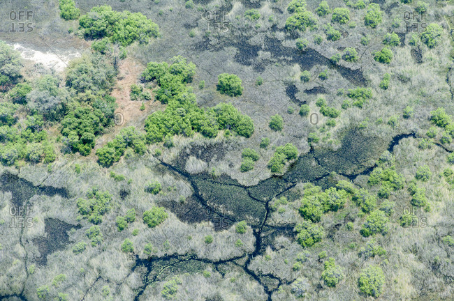 Aerial view of wetland in Sandibe, Botswana