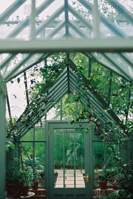 A wooden frame conservatory with plants.