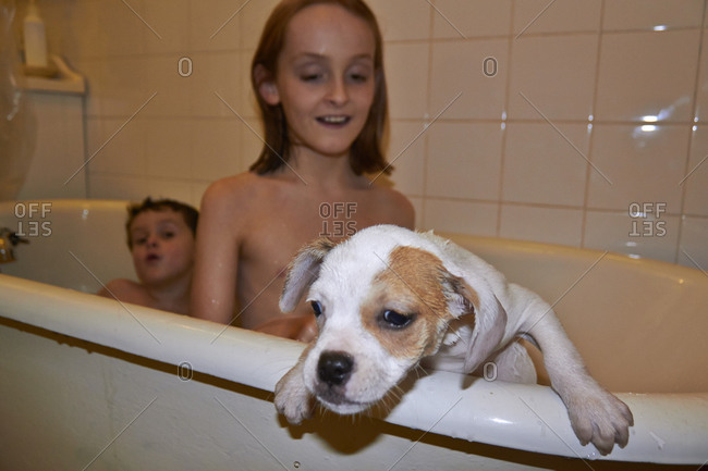 Puppy tries to escape from the bathtub