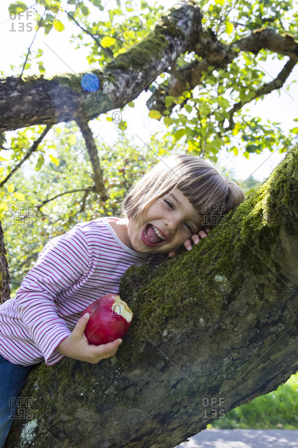Portrait of laughing little girl sitting on an apple tree with bitten apple