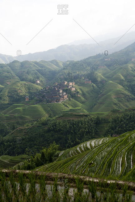 Rice terraces in Longsheng, China