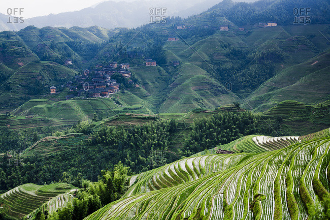 View of rice terraces in Longsheng, China