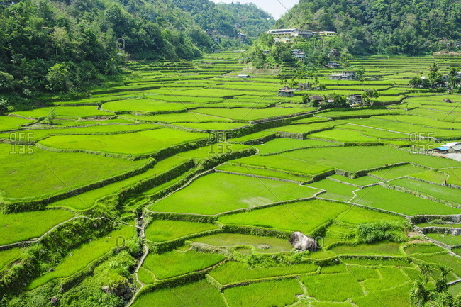 Hapao rice terraces, Banaue, UNESCO World Heritage Site, Luzon, Philippines