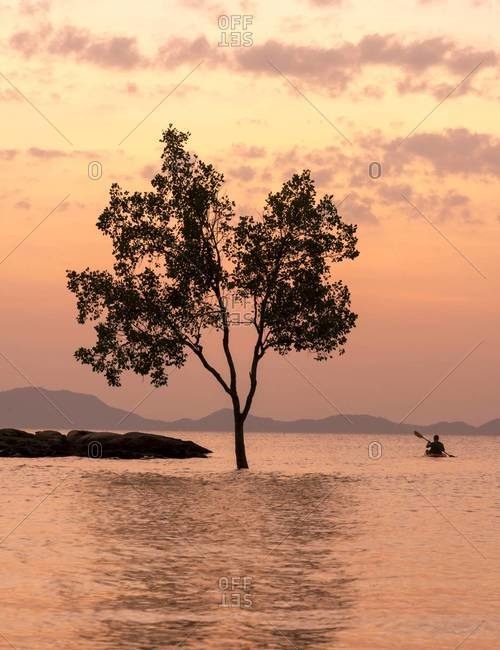 A tree and kayaker in the water are silhouetted by the sunset in Krabi, Thailand