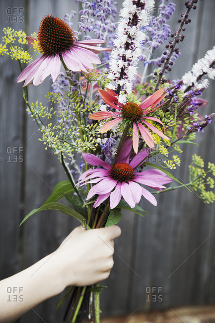 Childs hand holding flowers